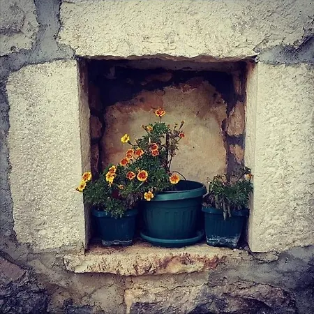 Countryside House Gazivoda In Montenegro Дом отдыха