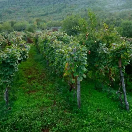 Countryside House Gazivoda In Montenegro Дом отдыха