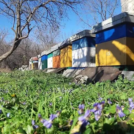 Countryside House Gazivoda In Montenegro Дом отдыха